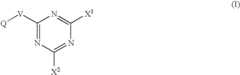 Figure US07863058-20110104-C00013