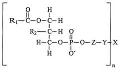 Figure imgf000046_0002