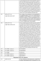 Figure imgf000161_0001