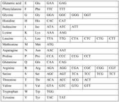 Figure imgf000050_0001