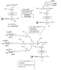 Figure 0007429103000270