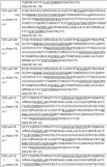 Figure GPA0000304243320000331