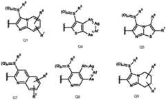 Figure GDA0003755121430000101