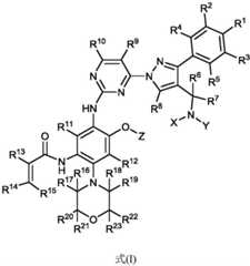 Figure GDA0002653239980000031