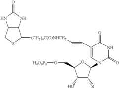 Figure US06596856-20030722-C00001