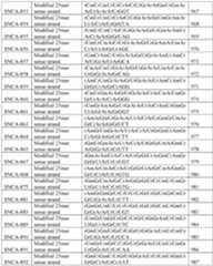 Figure imgf000213_0001