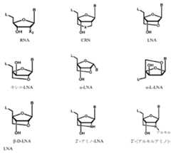 Figure 2025513740000005