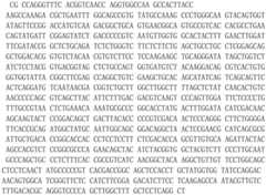 Figure GDA0002288445510000033