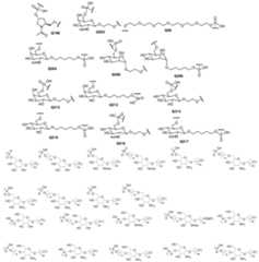 Figure imgf000036_0001