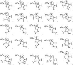 Figure BDA0003783300830000344