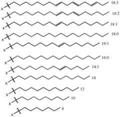 Figure imgf000028_0001