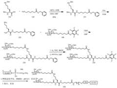 Figure BDA0003357312860007321