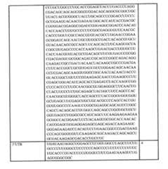 Figure 0007438604000058