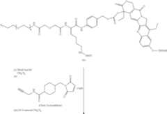 Figure US08759496-20140624-C00015