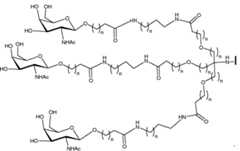 Figure imgf000029_0001