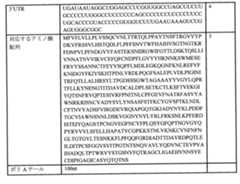 Figure 0007438604000004