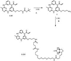 Figure BDA0001453135130003192