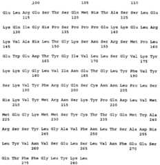 Figure imgf000063_0001