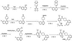 Figure RE-GDA0003303574510002381