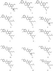 Figure BDA0002843129560000031