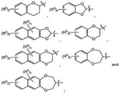 Figure imgf000004_0003