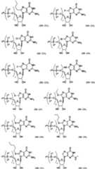 Figure imgf000058_0001