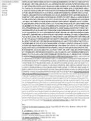 Figure imgf000234_0001