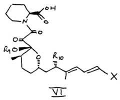 Figure imgf000010_0001