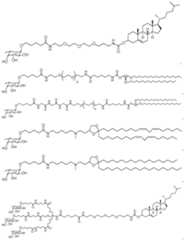 Figure imgf000347_0001