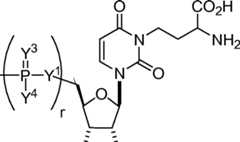 Figure AU2019202835A1_D0103