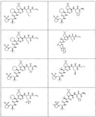 Figure imgf000259_0001