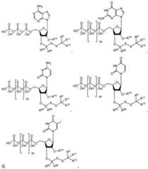 Figure BDA0003670511740000631