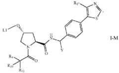 Figure imgf000246_0001