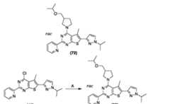 Figure imgf000250_0001