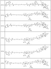 Figure FDA0002889616210000671