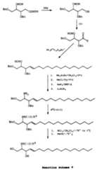 Figure imgf000021_0001