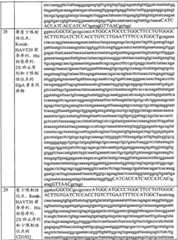 Figure BPA0000175368630000411