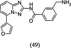 Figure GPA00001035513100853