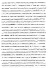 Figure 109103078-A0101-12-0101-46