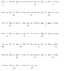 Figure 105135184-A0305-02-0185-102