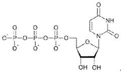 Figure imgf000082_0003