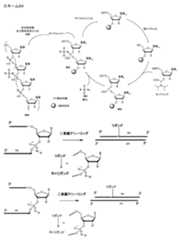 Figure 2023500681000116