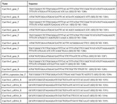 Figure imgf000561_0001