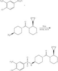 Figure US08697739-20140415-C00207