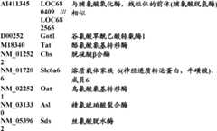 Figure BDA0000057170160002361