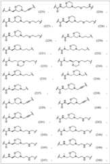 Figure BDA0003783300830001971