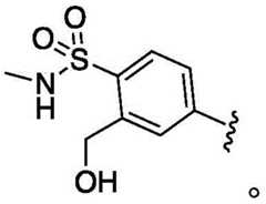 Figure BDA0002935257550000388