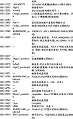 Figure BDA0000057170160001111