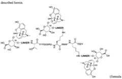 Figure imgf000031_0002