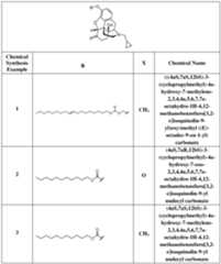 Figure imgf000018_0001